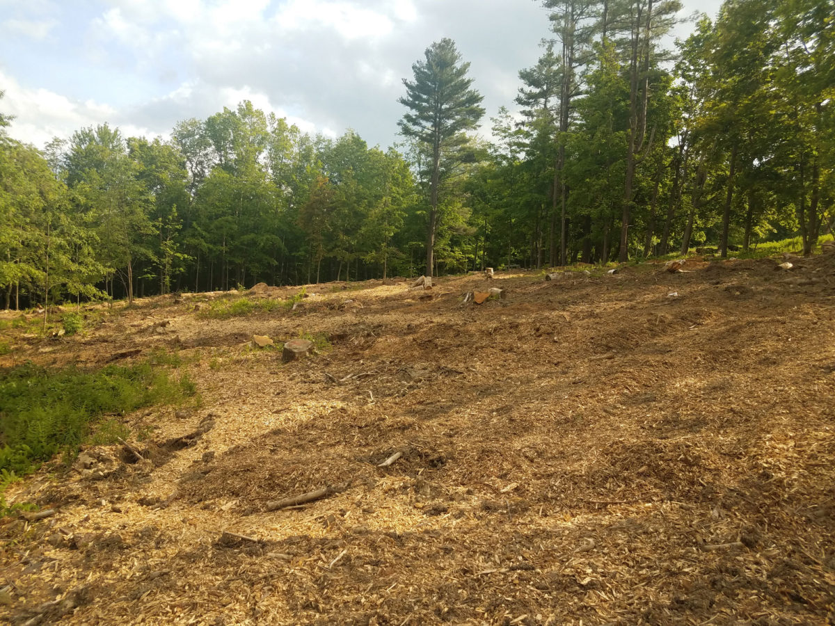 Superior Land Services - Landscaping and Forestry Mulching in Maryland